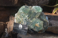 Natural Stepped Green Fluorite Specimen  x 1 From Uis, Namibia