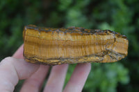 Natural Golden Blue Tigers Eye Specimens  x 2 From Prieska, South Africa - TopRock