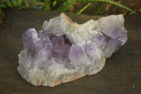 Natural Jacaranda Amethyst Cluster x 1 From Zambia - Toprock Gemstones and Minerals 