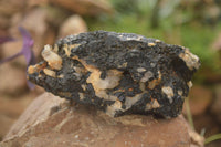 Natural Black Tourmaline Schorl in Matrix Specimens  x 5 From Zambia