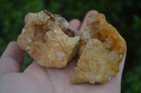 Natural Golden Limonite / Lemonite Quartz Clusters  x 12 From Zambia - TopRock