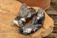 Natural Smokey Quartz Crystal Formations  x 5 From Mt. Mulanje, Malawi - TopRock