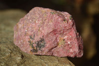 Natural Rough Red Rhodonite Specimens x 6 From Karoi, Zimbabwe