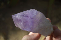 Polished Large Jacaranda Amethyst Crystals x 6 From Zambia