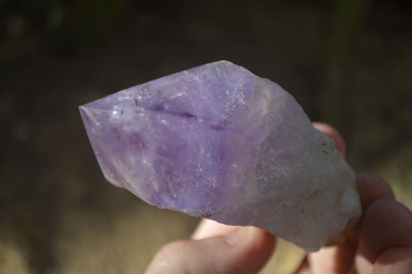 Polished Large Jacaranda Amethyst Crystals x 6 From Zambia