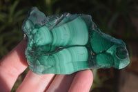 Polished Small Flower Banded Malachite Slices  x 24 From Congo - Toprock Gemstones and Minerals 