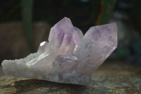 Natural Jacaranda Amethyst Clusters  x 3 From Zambia - Toprock Gemstones and Minerals 