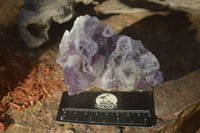 Natural Sugar Amethyst Clusters  x 4 From Zambia