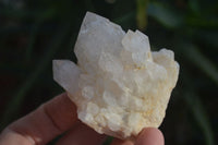 Natural "Cathedral Window" Terminated Candle Quartz Formations  x 14 From Madagascar - Toprock Gemstones and Minerals 