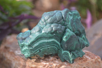 Natural Crystalline Botryoidal Malachite Specimens  x 5 From Kambove, Congo