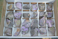 Natural Rough Stichtite & Serpentine Specimens  x 24 From Barberton, South Africa - Toprock Gemstones and Minerals 