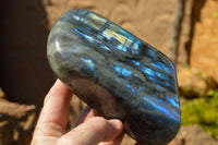 Polished Labradorite Standing Free Forms With Intense Blue & Gold Flash x 2 From Sakoany, Madagascar - TopRock