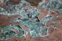 Natural Drusy Quartz Coated Malachite On Red Copper Dolomite  x 1 From Likasi, Congo - Toprock Gemstones and Minerals 