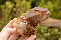 Natural Red Hematoid Phantom Quartz Crystals  x 5 From Karoi, Zimbabwe - TopRock