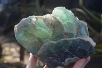 Natural Stepped Green Fluorite Specimen  x 1 From Uis, Namibia