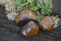 Polished Golden Tigers Eye Free Forms x 3 From Prieska, Northern Cape