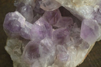 Natural Jacaranda Amethyst Cluster x 1 From Zambia - Toprock Gemstones and Minerals 