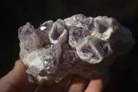 Natural Sugar Amethyst Clusters  x 4 From Zambia