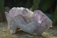 Natural Jacaranda Amethyst Clusters  x 3 From Zambia - Toprock Gemstones and Minerals 