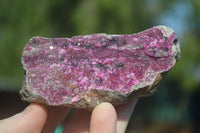 Natural Pink Salrose Cobaltion Dolomite Specimens  x 6 From Congo - Toprock Gemstones and Minerals 