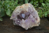 Natural Jacaranda Amethyst Cluster x 1 From Mumbwa, Zambia - TopRock