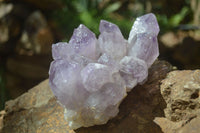 Natural Jacaranda Amethyst Clusters x 2 From Mumbwa, Zambia - TopRock