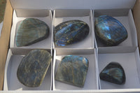 Polished Labradorite Standing Free Forms With Intense Full Face Flash  x 6 From Tulear, Madagascar - Toprock Gemstones and Minerals 