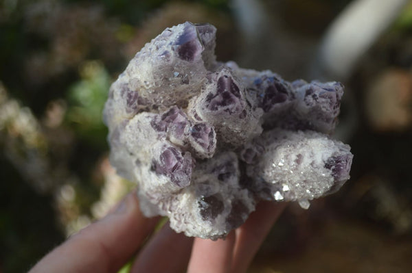 Natural Sugar Amethyst Clusters  x 4 From Solwezi, Zambia