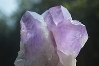 Natural Jacaranda Amethyst Clusters  x 3 From Mumbwa, Zambia - Toprock Gemstones and Minerals 