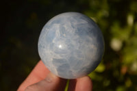 Polished Blue Calcite Spheres x 4 From Ihadilalana, Madagascar