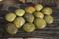 Polished Large Green Opal Standing Free Forms x 12 From Madagascar