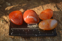 Polished  Carnelian Agate Tumble Stones  x 56 From Madagascar