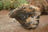 Natural Black Tourmaline Schorl in Matrix Specimens  x 5 From Zambia