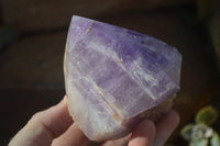 Polished Large Jacaranda Amethyst Crystals x 6 From Zambia