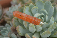 Polished Packaged Hand Crafted Resin Pendant with Carnelian Chips - sold per piece - From Bulwer, South Africa - TopRock