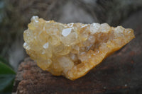 Natural Golden Limonite / Lemonite Quartz Clusters  x 12 From Zambia - TopRock