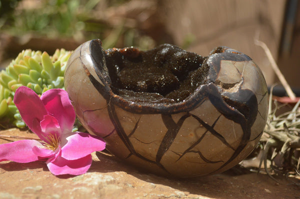 Polished Septaria Dragons Egg x 1 From Mahajanga, Madagascar - TopRock