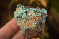 Natural Drusy Coated Chrysocolla & Malachite Specimens x 6 From Likasi, Congo