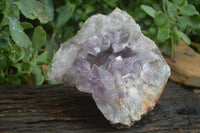 Natural Jacaranda Amethyst Cluster x 1 From Mumbwa, Zambia - TopRock