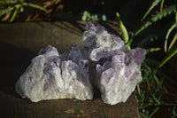 Natural Sugar Amethyst Clusters  x 4 From Zambia