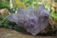 Natural Jacaranda Amethyst Clusters x 2 From Mumbwa, Zambia - TopRock