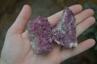 Natural Pink Salrose Cobaltion Dolomite Specimens  x 6 From Congo - Toprock Gemstones and Minerals 