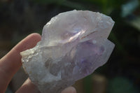 Natural Jacaranda Amethyst Clusters  x 3 From Zambia - Toprock Gemstones and Minerals 