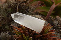 Polished Clear Quartz Crystal Points x 6 From Madagascar - TopRock