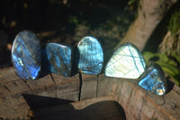 Polished Labradorite Standing Free Forms With Intense Full Face Flash  x 6 From Tulear, Madagascar - Toprock Gemstones and Minerals 