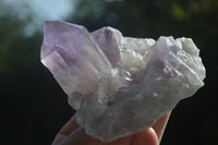 Natural Jacaranda Amethyst Clusters  x 3 From Mumbwa, Zambia - Toprock Gemstones and Minerals 