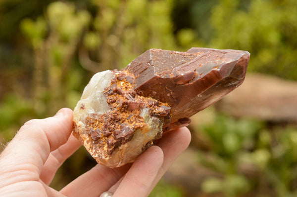 Natural Red Hematoid Phantom Quartz Crystals  x 5 From Karoi, Zimbabwe - TopRock