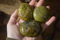 Polished Large Green Opal Standing Free Forms x 12 From Madagascar