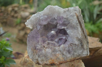 Natural Jacaranda Amethyst Cluster x 1 From Mumbwa, Zambia - TopRock