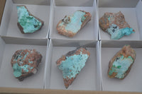 Natural Drusy Coated Chrysocolla Dolomite Specimens x 6 From Congo